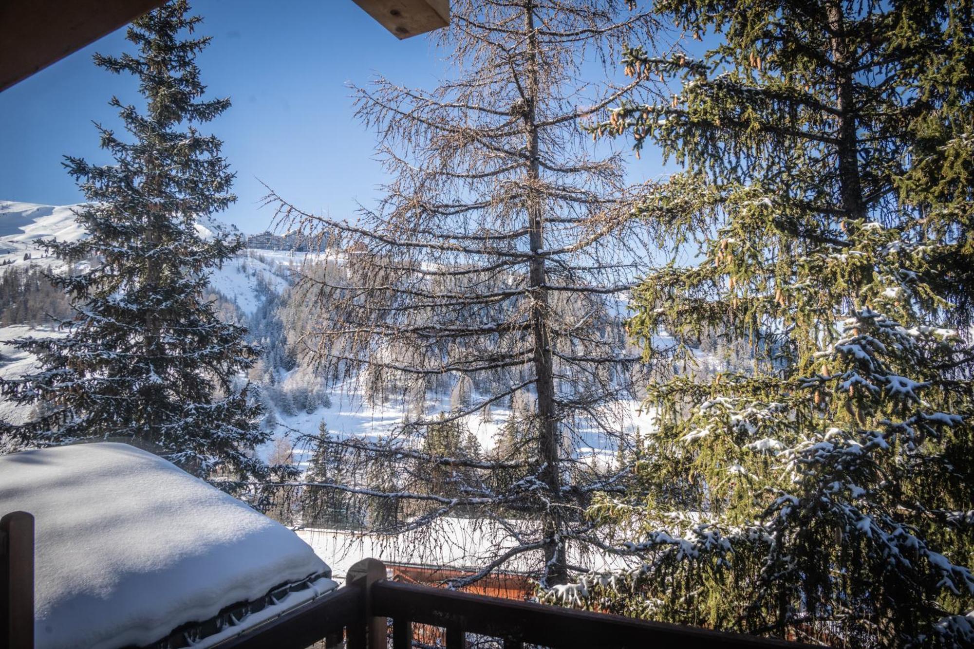 Chalet Du Bois Melay - Piscine - Proche Pistes - 15 Personnes La Plagne Exterior photo